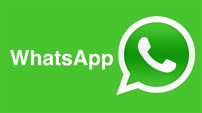 whatsapp 管理软件