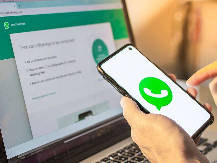 whatsapp网页版养号手册