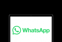 whatsapp收不到验证码怎么办2023 whatsapp网页版介绍