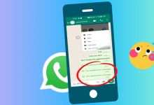 whatsapp重新登陆聊天记录还有吗 whatsapp更新版本下载